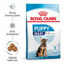 Bild 1 von ROYAL CANIN MAXI Puppy Trockenfutter für Welpen großer Rassen 4kg