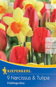 Kiepenkerl Blumenzwiebel Tulpen-Narzissen-Mischung Frühlingsduo, 9 Stück