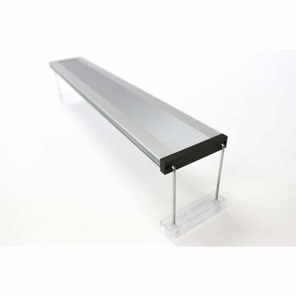 Bild 2 von TWINSTAR LED LIGHT II Adjustable Type CA 450CA