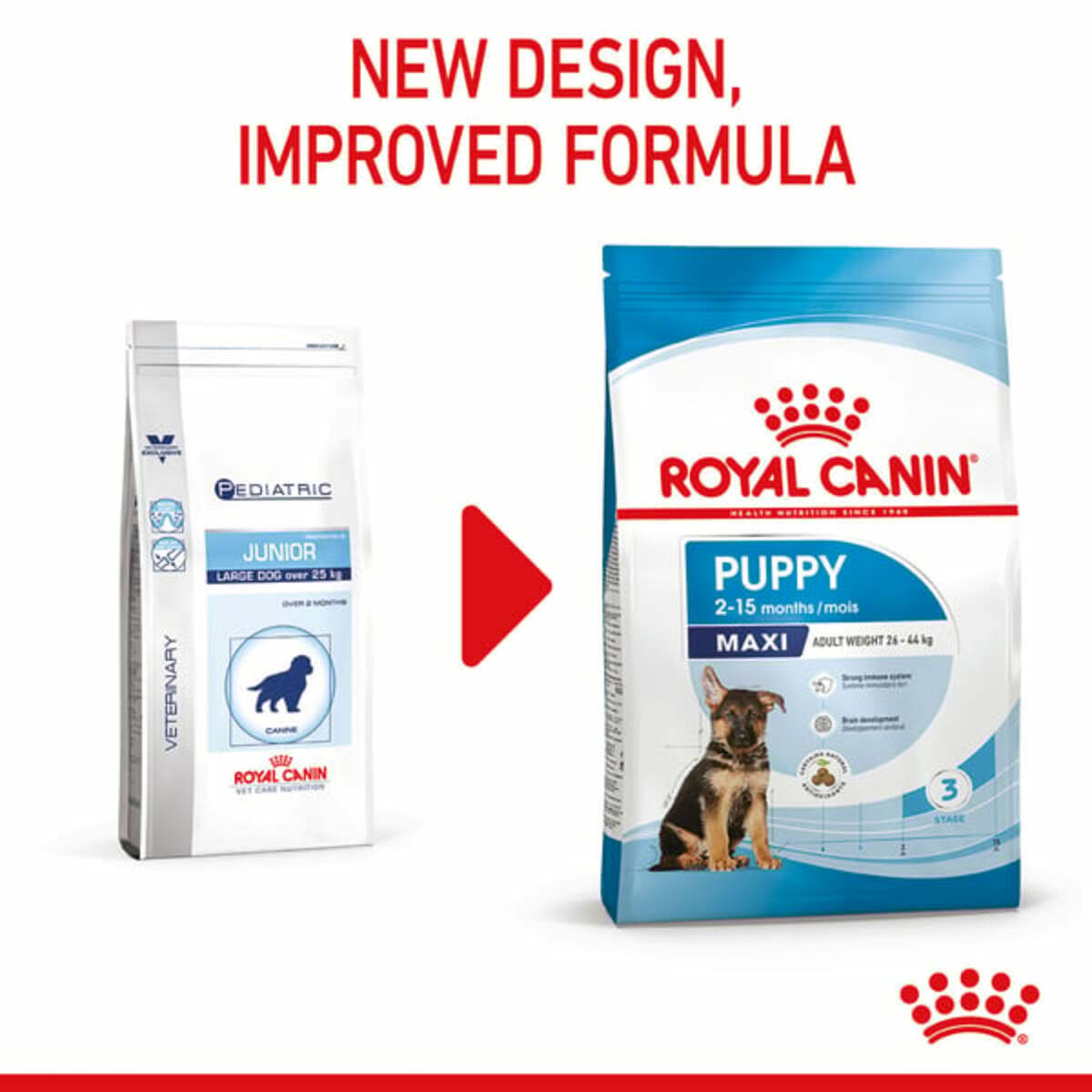 Bild 3 von ROYAL CANIN MAXI Puppy Trockenfutter für Welpen großer Rassen 4kg