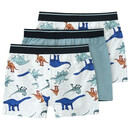 Bild 1 von 3 Jungen Boxer mit Dino-Allover