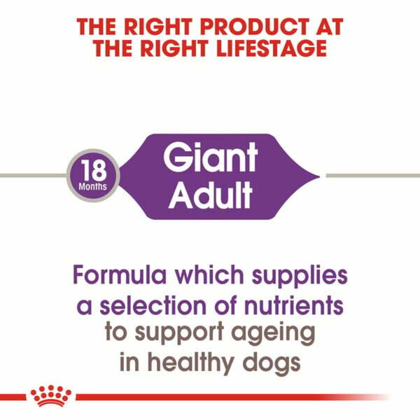 Bild 2 von ROYAL CANIN GIANT Adult Trockenfutter für sehr große Hunde 4kg