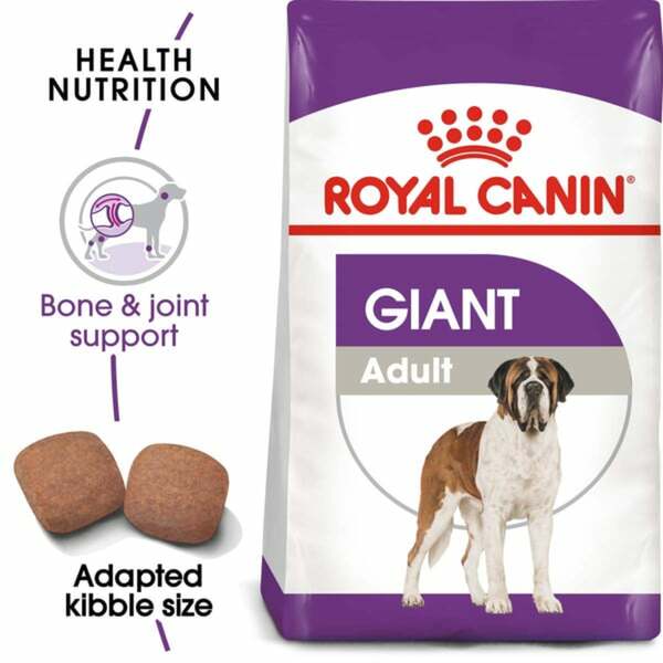 Bild 1 von ROYAL CANIN GIANT Adult Trockenfutter für sehr große Hunde 4kg