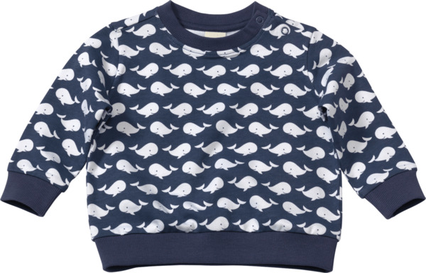 Bild 1 von ALANA Baby Pullover, Gr. 80, aus Bio-Baumwolle, blau