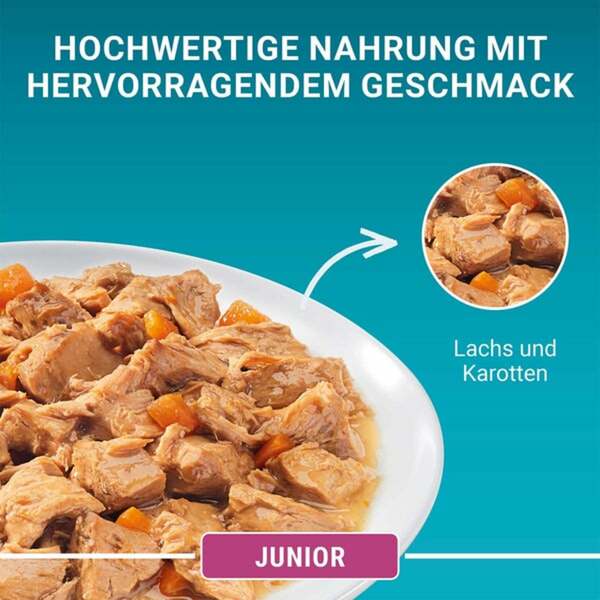 Bild 4 von PURINA ONE JUNIOR Kitten in Sauce Lachs 12 x 4x85g