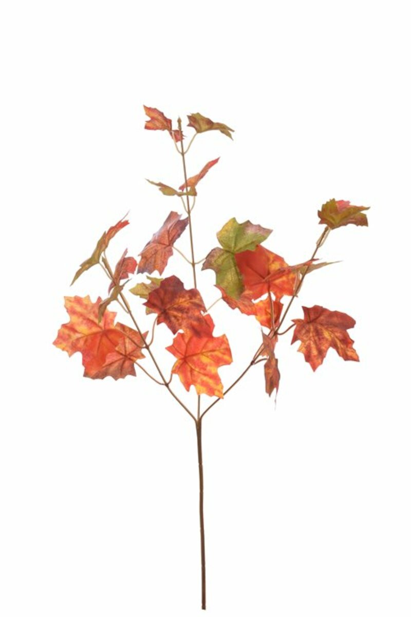 Bild 2 von Ahornblatt