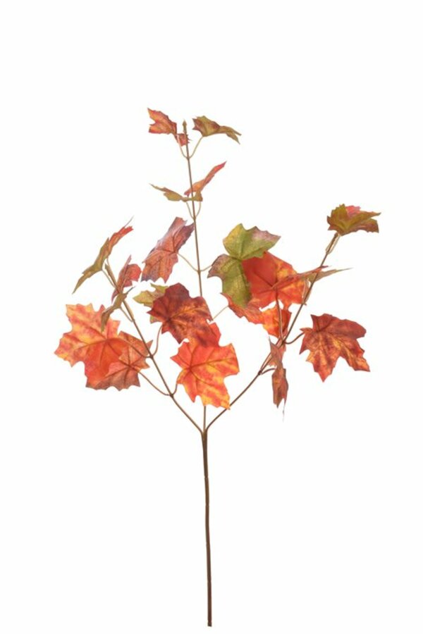 Bild 2 von Ahornblatt