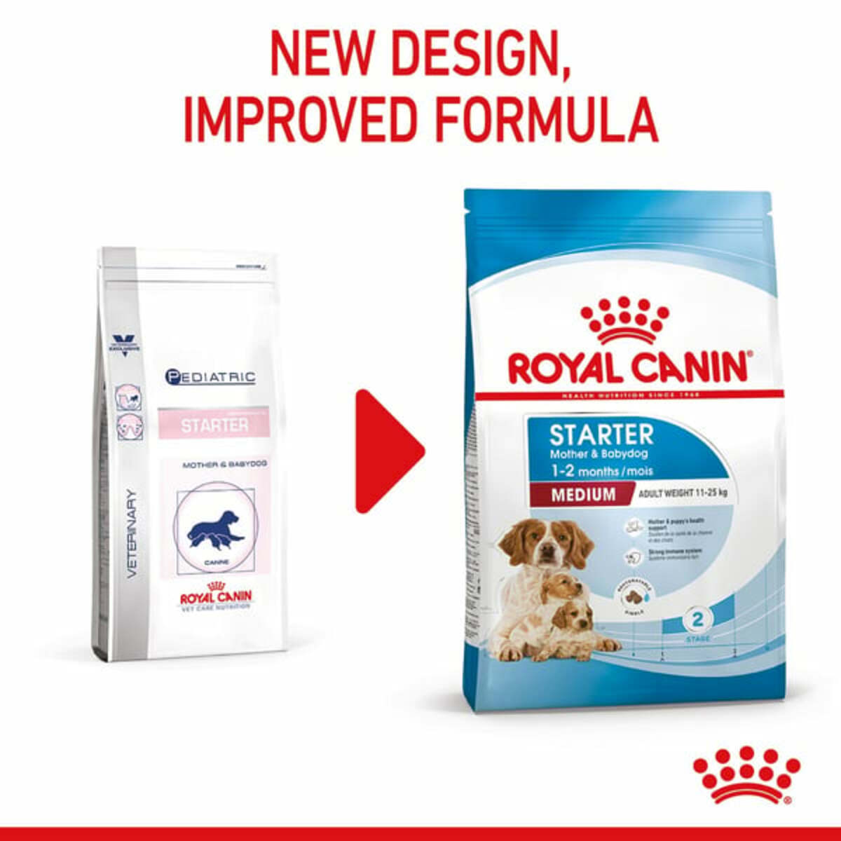 Bild 3 von ROYAL CANIN MEDIUM Starter für tragende Hündinnen und Welpen mittelgroßer Rassen 15kg