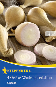 Kiepenkerl Winterschalotte Griselle Allium cepa var. ascalonicum