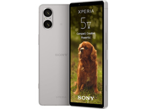 SONY Xperia 5 V 128 GB Platinsilber Dual SIM