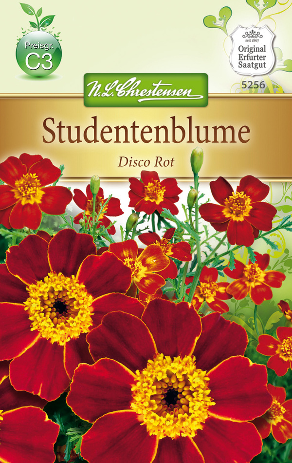 Bild 1 von Tagetes patula Studentenblume - Disco Rot