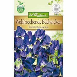 Lathyrus Edelwicken Cuthbertson Danny für ca. 40 Pflanzen