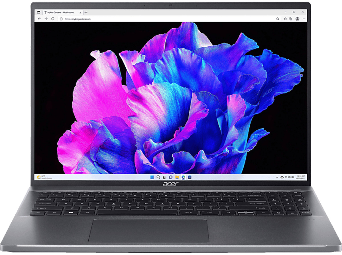 Bild 1 von ACER Swift Go (SFG16-71-763T) mit Tastaturbeleuchtung, Notebook 16,0 Zoll Display, Intel® Core™ i7 Prozessor, 16 GB RAM, 1 TB SSD, Intel Iris Xe Grafik, Pure Silver