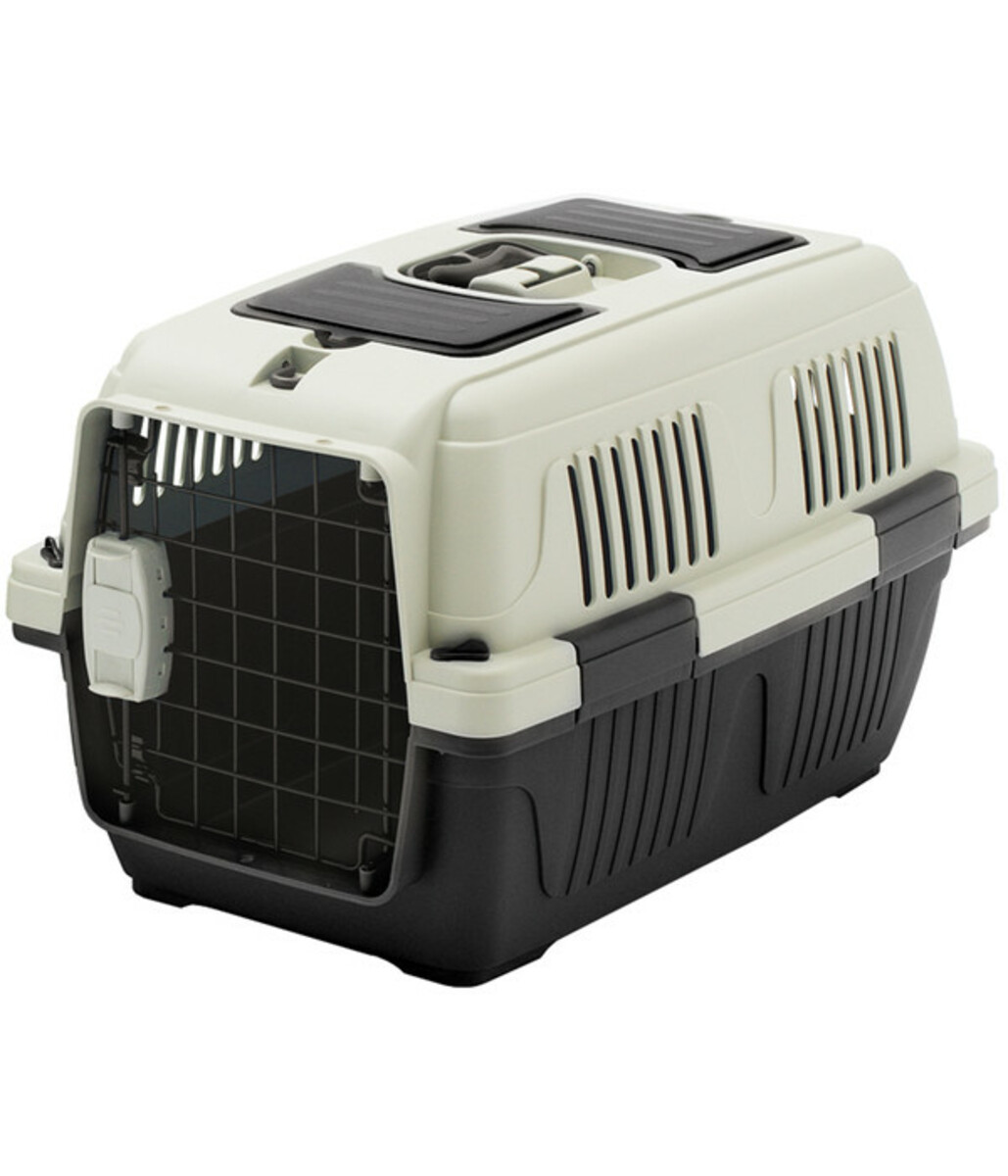 Bild 1 von Dehner Lieblinge Transportbox Dino, ca. B37/H35/T57 cm