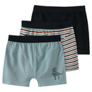 Bild 1 von 3 Jungen Boxer in verschiedenen Dessins