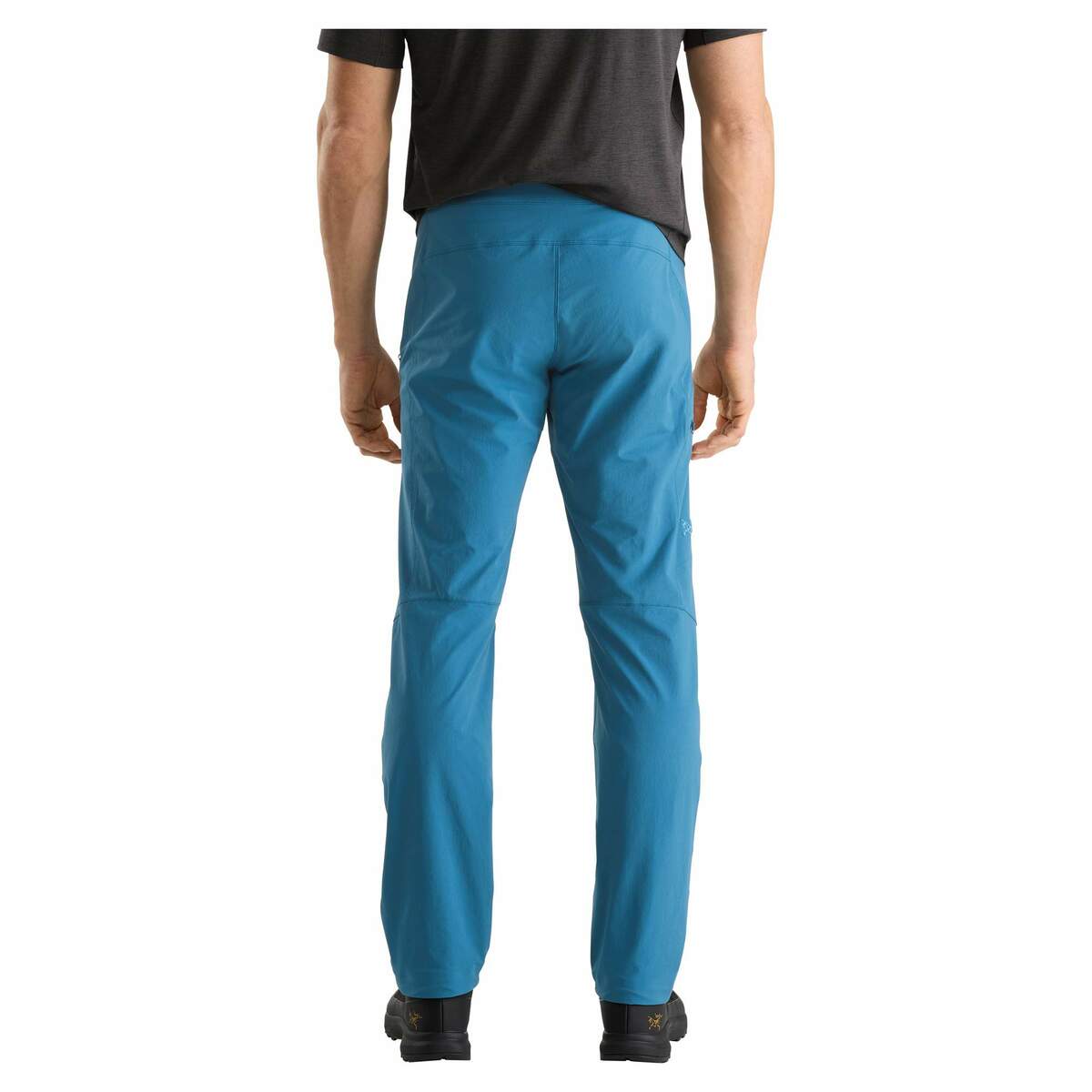 Bild 3 von Arc'teryx
              
                 GAMMA PANT MENS Herren - Softshellhose