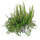 Bild 2 von Herbsttraum Quattros