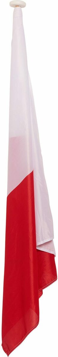 Bild 2 von FC Bayern Fahne FC Bayern München Bannerfahne mit 5 Sterne Logo, 120x300 cm