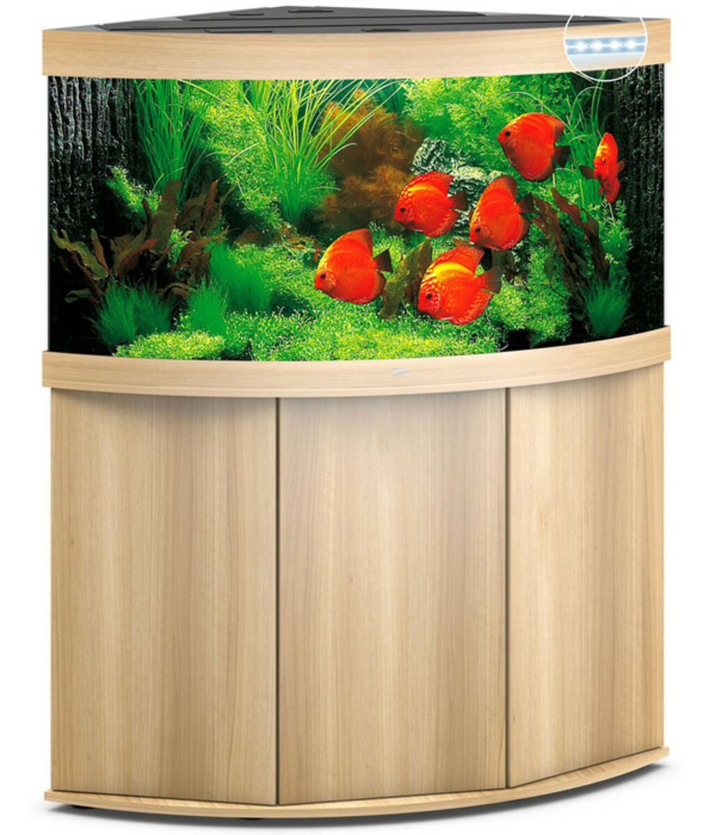 Bild 1 von JUWEL® AQUARIUM Kombination Trigon 350 LED