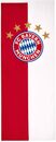 Bild 1 von FC Bayern Fahne FC Bayern München Bannerfahne mit 5 Sterne Logo, 120x300 cm