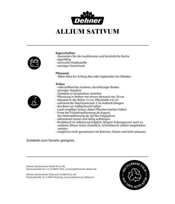 Bild 2 von Dehner Pflanzknoblauch
