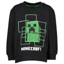 Bild 1 von Jungen Sweater Minecraft