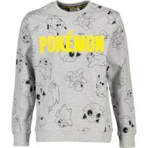 Teenager Sweater Pokémon