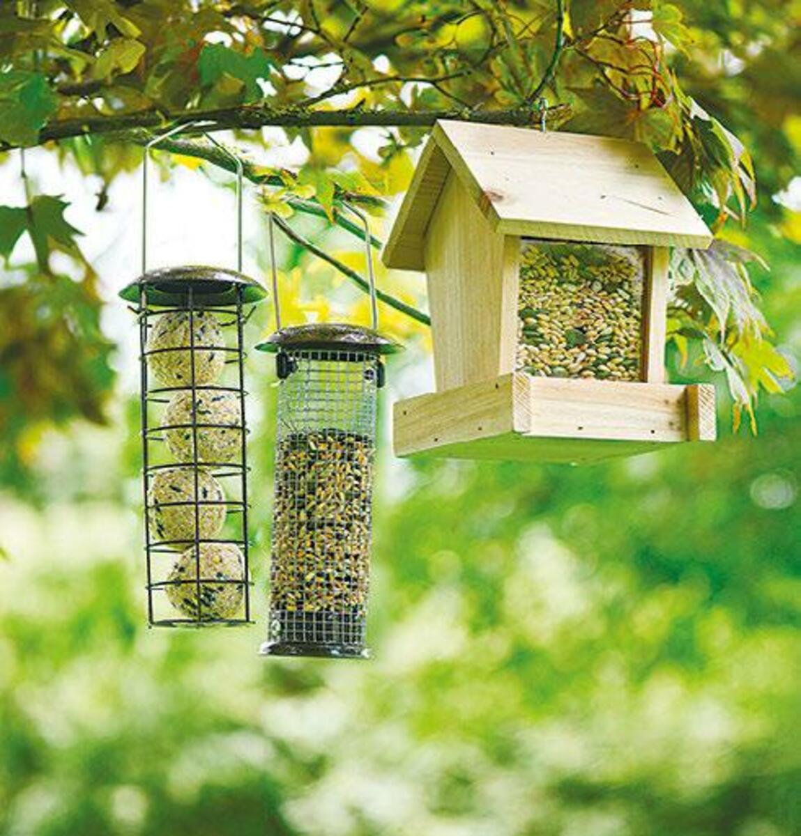 Bild 1 von Vogelfutterhaus oder Vogelfutterstation