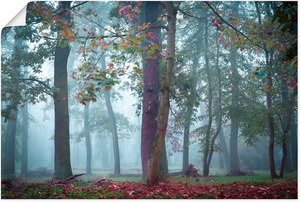 Artland Wandbild "Nebel im Wald", Waldbilder, (1 St.), als Alubild, Leinwandbild, Wandaufkleber oder Poster in versch. Größen