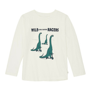 Jungen Longsleeve mit Dinomotiv