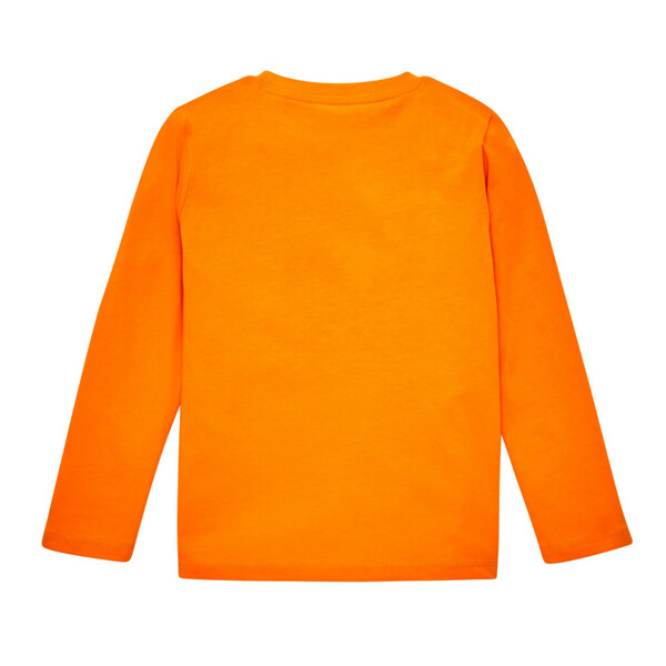 Bild 2 von Jungen Longsleeve mit Dinoprint