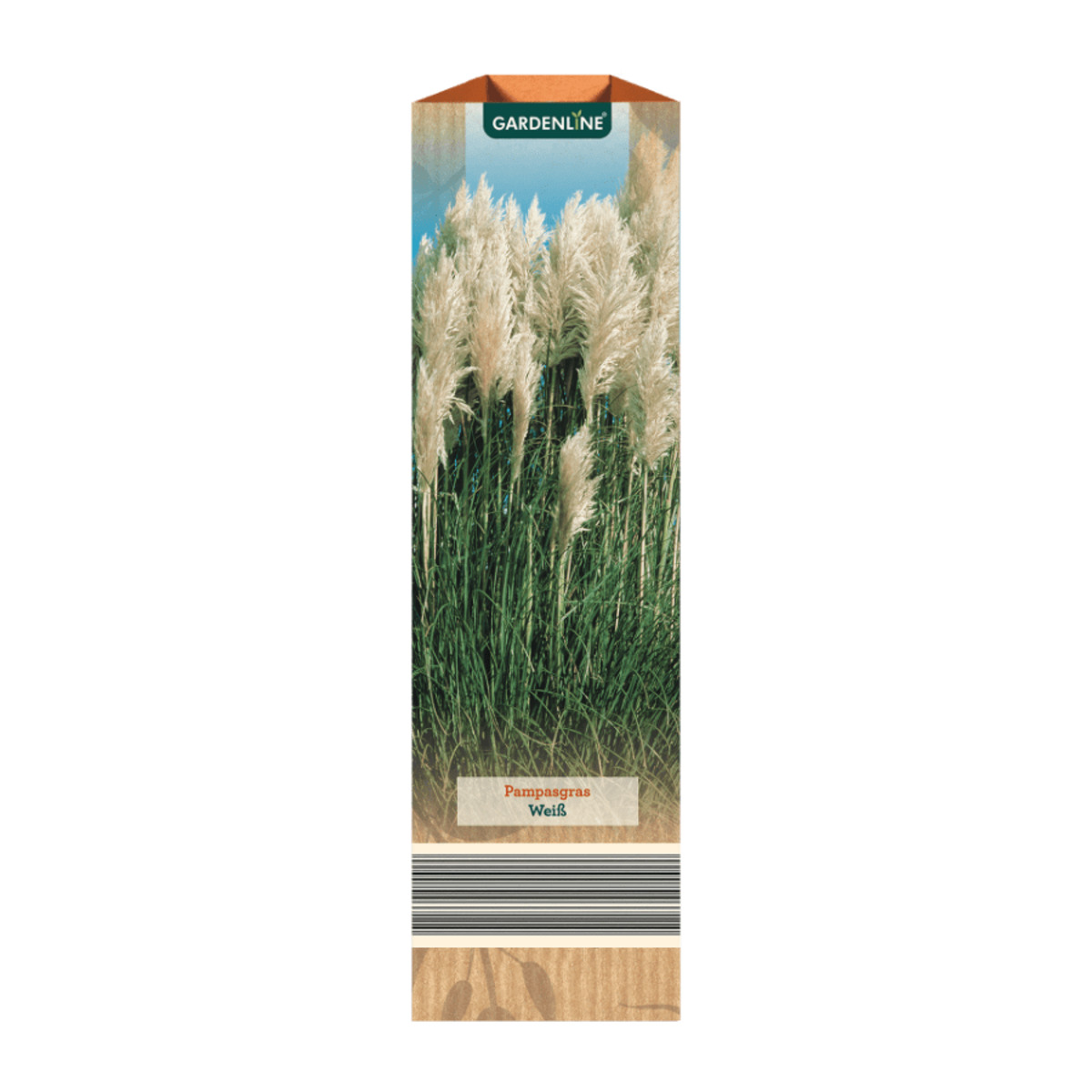 Bild 3 von GARDENLINE Pampasgras