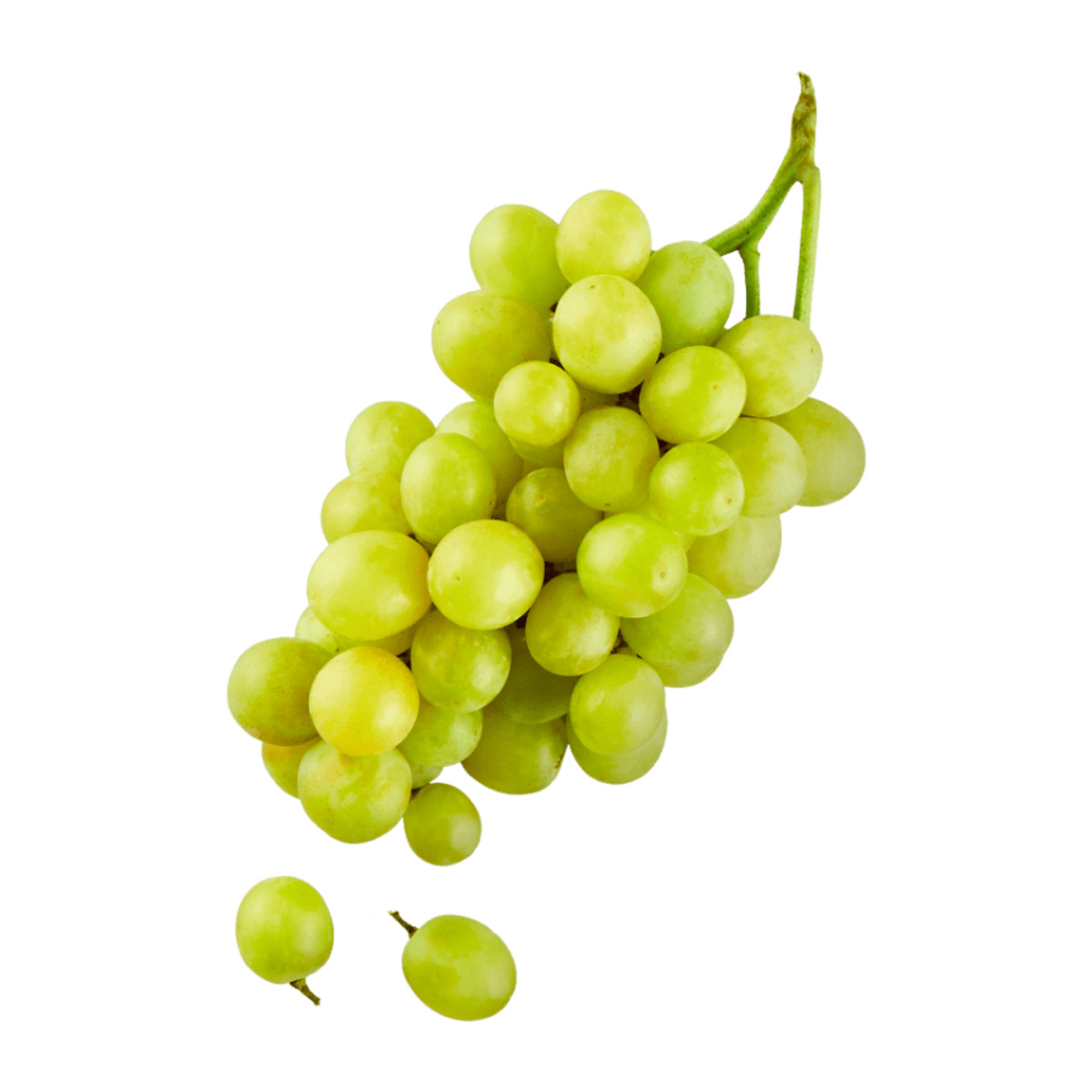 Bild 1 von GUT BIO Bio-Tafeltrauben