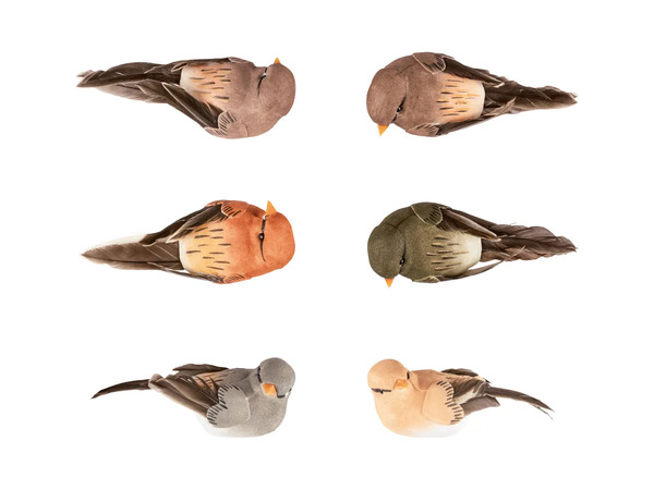 Bild 3 von LIVARNO home Deko-Clips