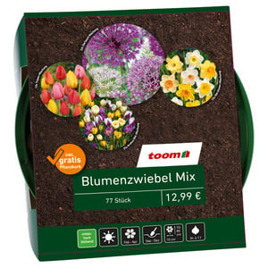 toom Blumenzwiebel-Mix bunt 77 Zwiebeln inkl. Pflanzkorb