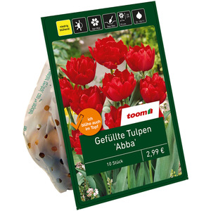 toom Gefüllte Tulpen 'Abba' rot 10 Zwiebeln