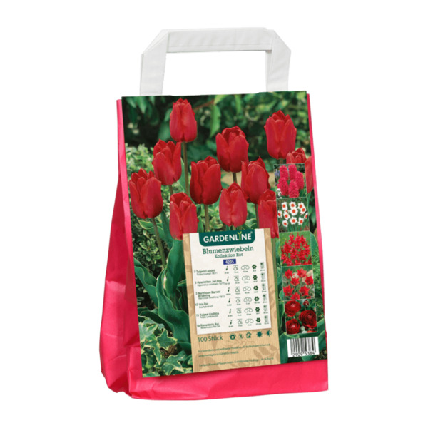GARDENLINE Blumenzwiebeln von ALDI Nord ansehen!