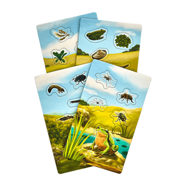 Bild 3 von KOSMOS Mitbringspiel