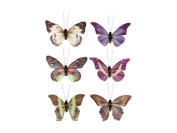 Bild 4 von LIVARNO home Deko-Clips