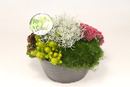 Bild 1 von Meisterschale Indian Summer 27 cm Topf