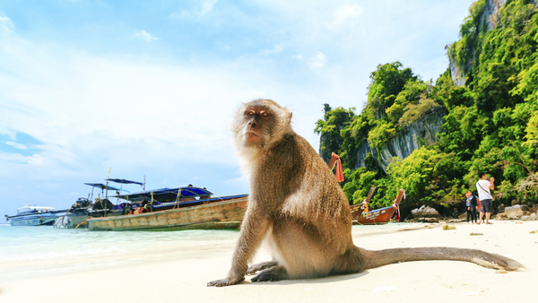 Bild 1 von Thailand - Inselhüpfen im Paradies