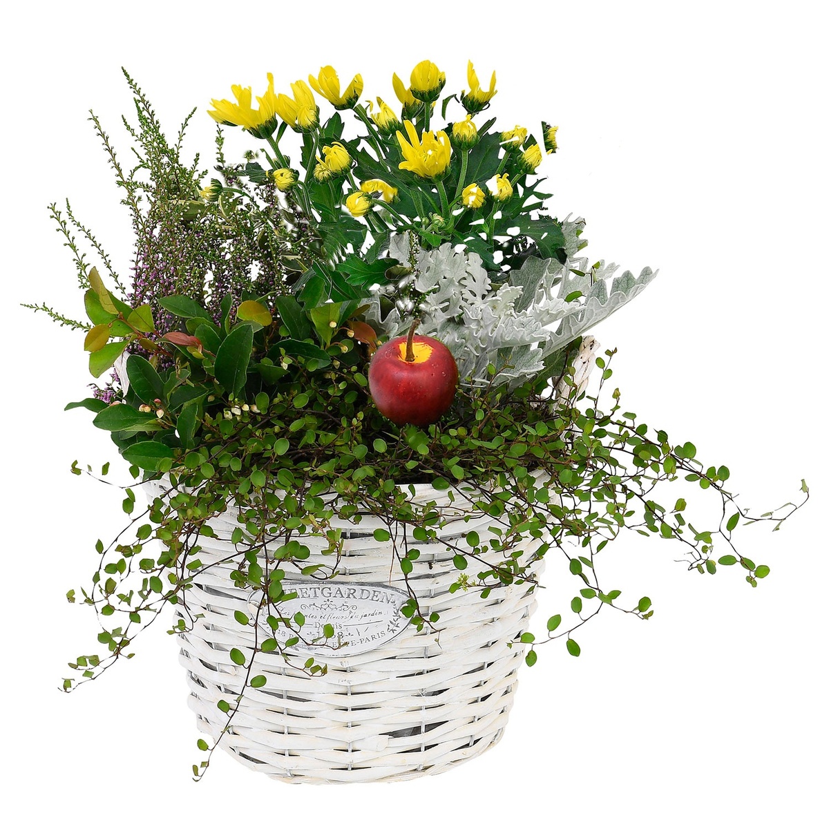 Bild 3 von GARDENLINE Bepflanzte Holzgefäße