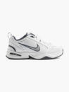 Bild 1 von Nike Trainingsschuh AIR MONARCH