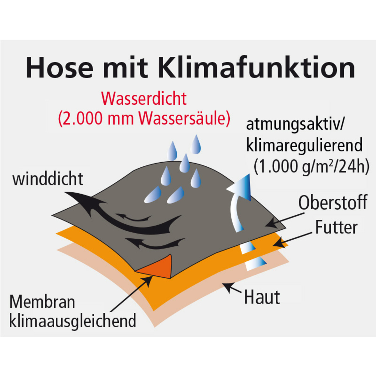 Bild 3 von Cool & Young Softshellhose