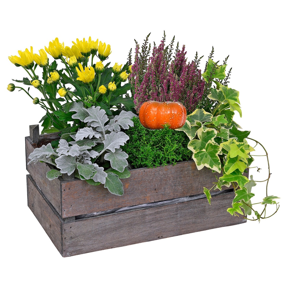 Bild 1 von GARDENLINE Bepflanzte Holzgefäße