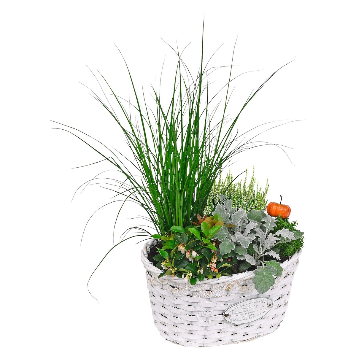 Bild 2 von GARDENLINE Bepflanzte Holzgefäße