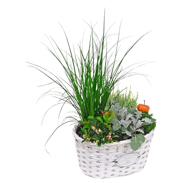 Bild 2 von GARDENLINE Bepflanzte Holzgefäße