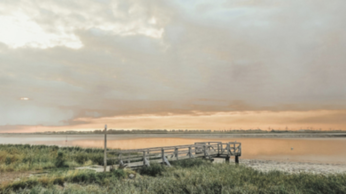 Bild 1 von Nordsee - Tönning - Be Bio Hotel be natural