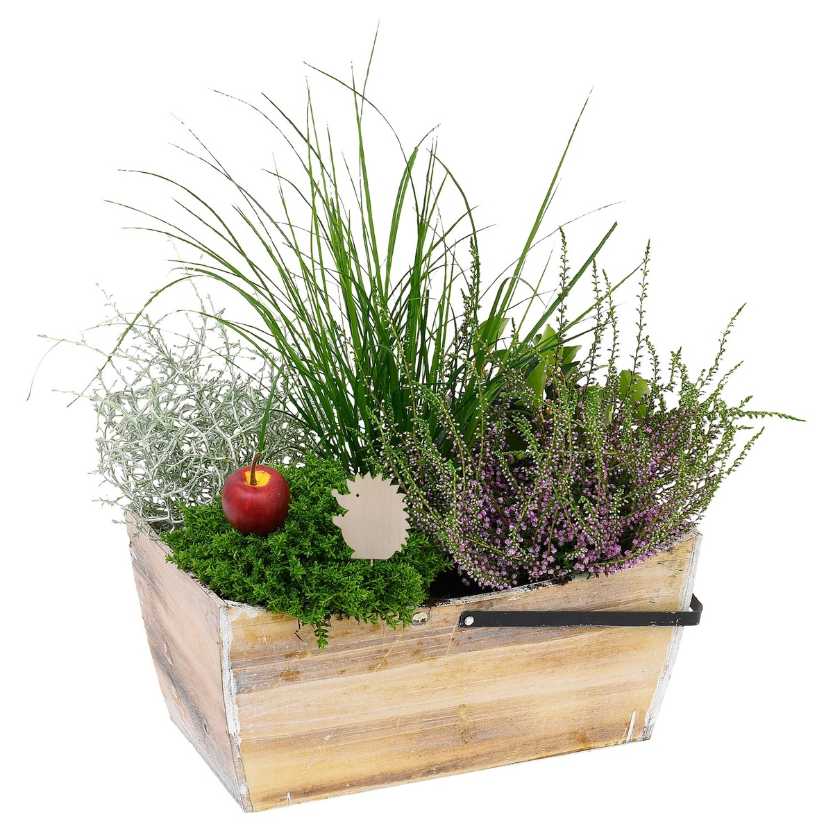 Bild 4 von GARDENLINE Bepflanzte Holzgefäße