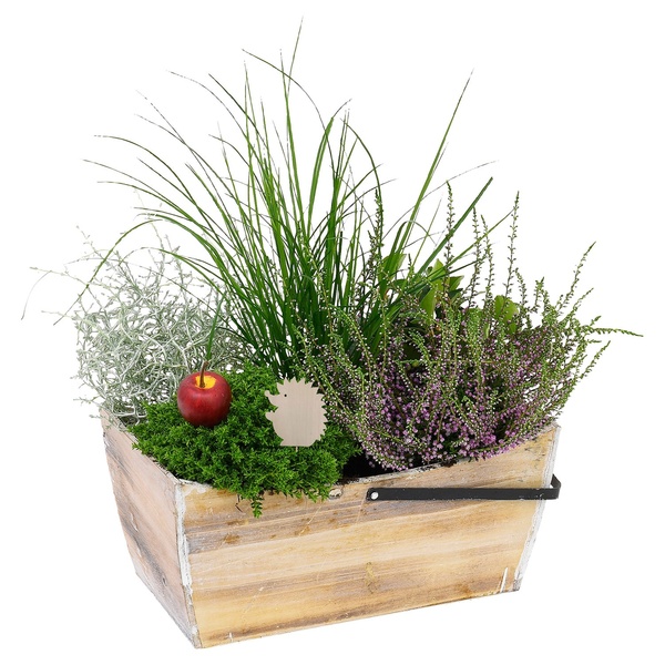 Bild 4 von GARDENLINE Bepflanzte Holzgefäße